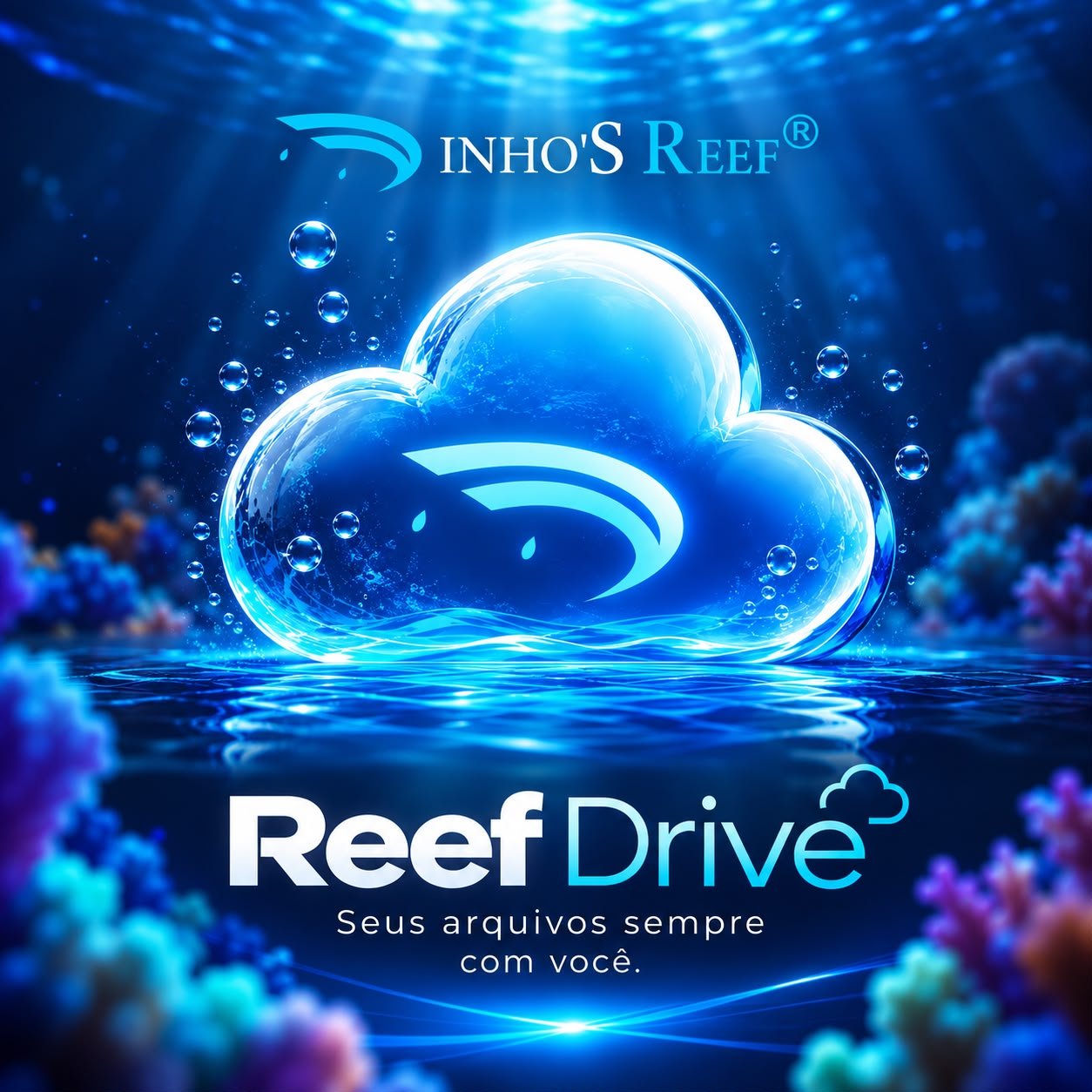 Reef Drive no notebook